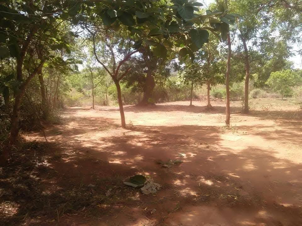 කතරගම පර්චස් 120ක ඉඩමක් විිකිනීමට තිබේ - katharagama