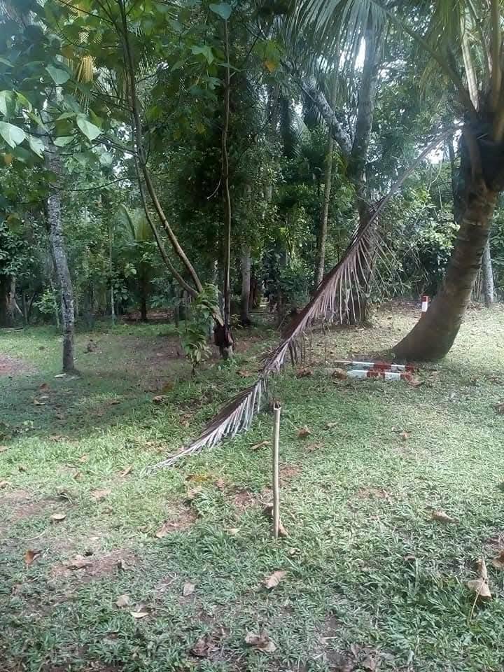 Land for salr - Gampaha