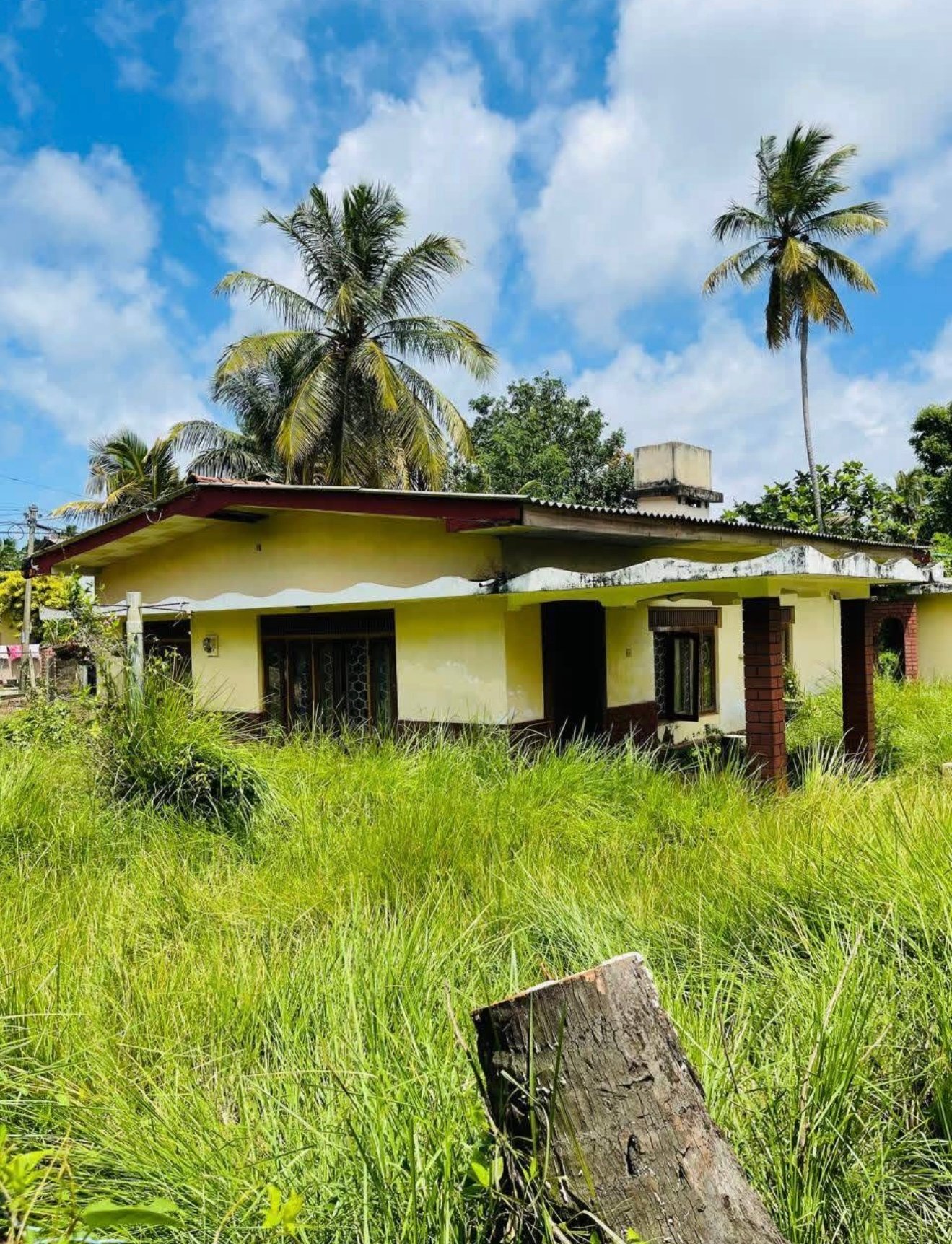 ඉතා අඩු මිලකට ජාඇල නගරයට විනාඩියක  දුර පර්චස් 17