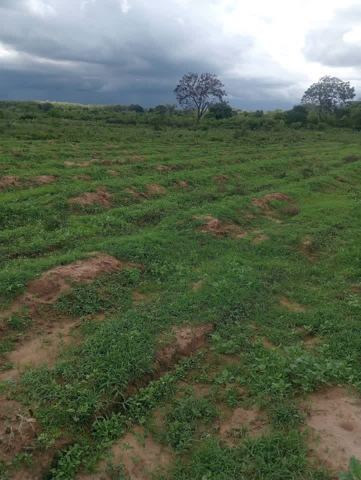 තණමල්විල ඉඩම් අක්කර 9 ක් විකිණීමට ඇත