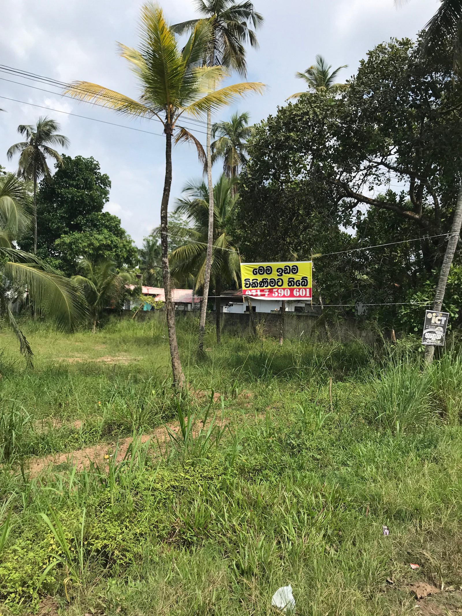 Land for sale