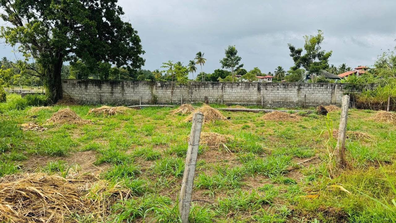 Land for sale kurunagala
