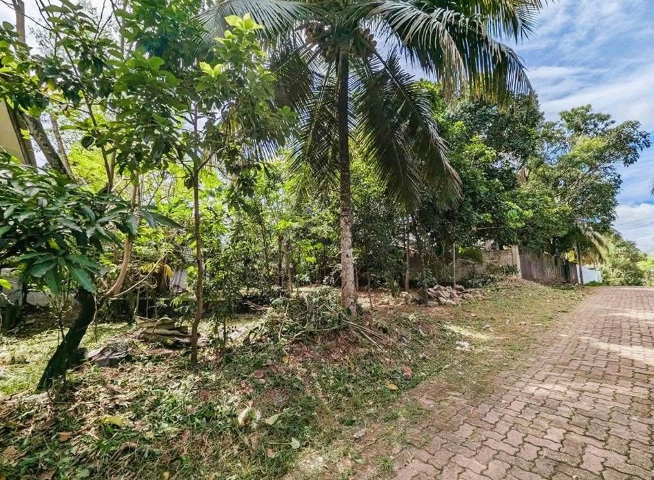 කඩවත – රාජසිංහ මාවතේ වටිනා ඉඩමක් විකිණීමට