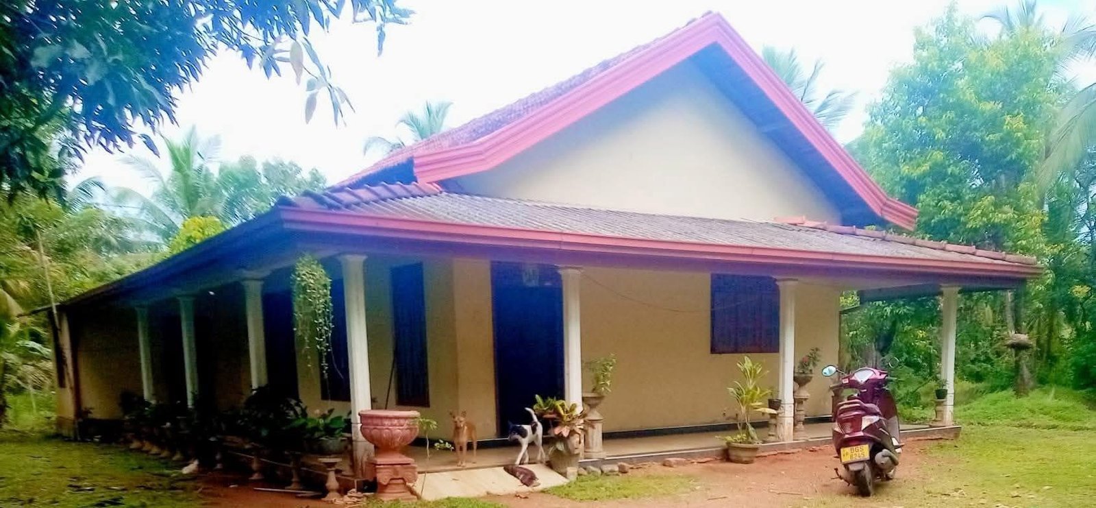 ගම්පහ දිස්ත්‍රික්කයේ මීරිගම කොටදෙණියාව  නගරයන්ට අතරමැදිව නිස්කලංක පරිසරයක  ජීවත්වෙන්න කදිම අවස්ථාවක්