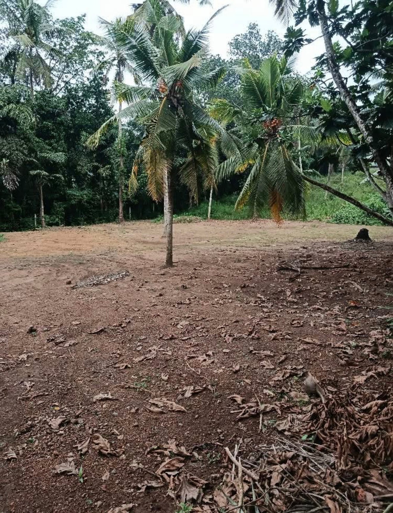 පර් 40 ක ඉඩම ඉතා අඩු මිලට විකිනිමට