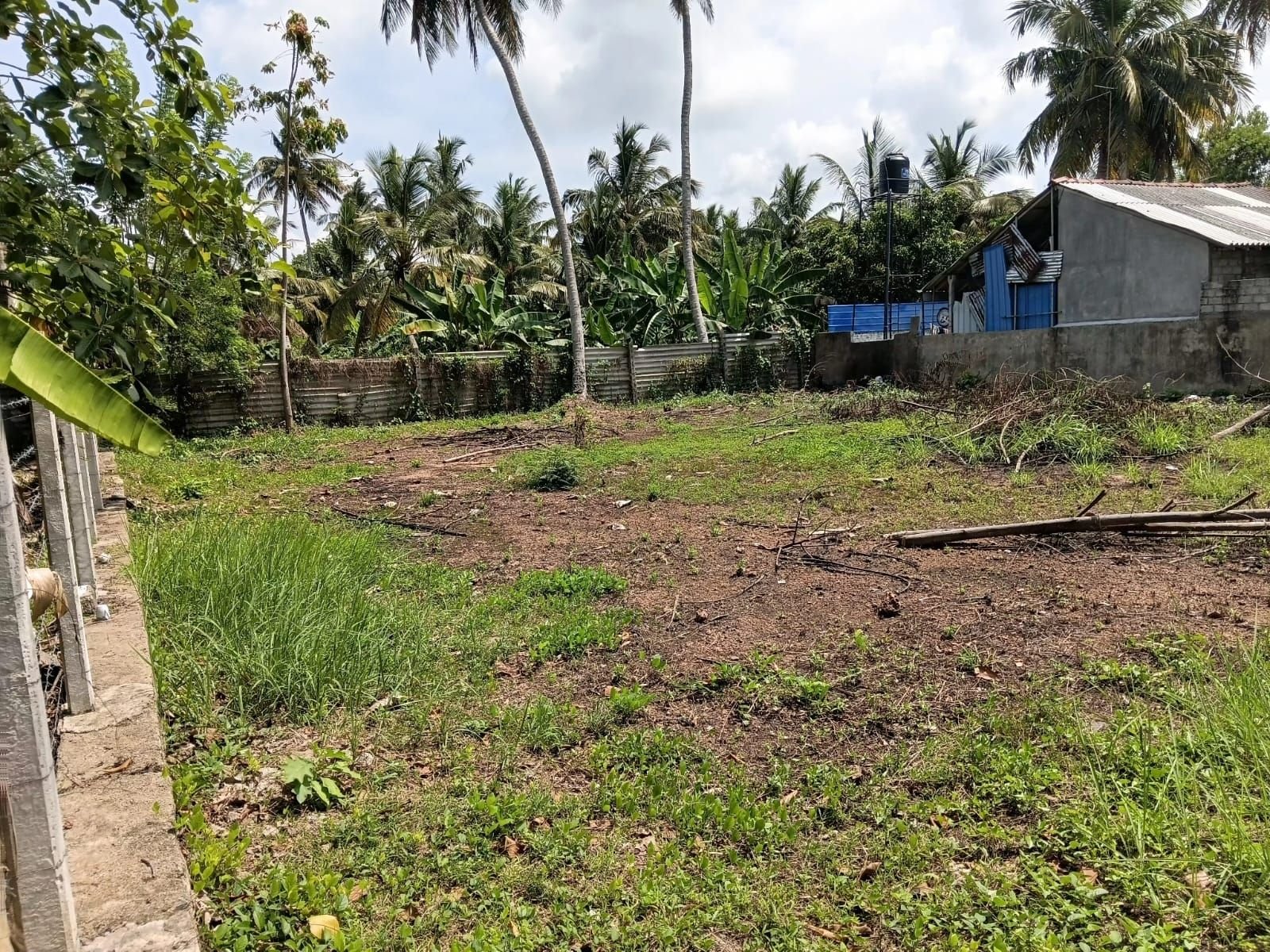 මීගමුව – තිබිරිගස්කටුව අනගි ඉඩමක් විකිණීමට