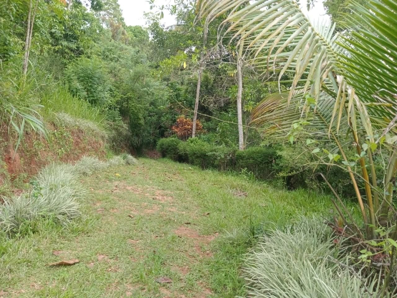 ආයෝජන කරුවන් සඳහා අනගි අවස්ථාවක් මහනුවර, මුරුතලාව