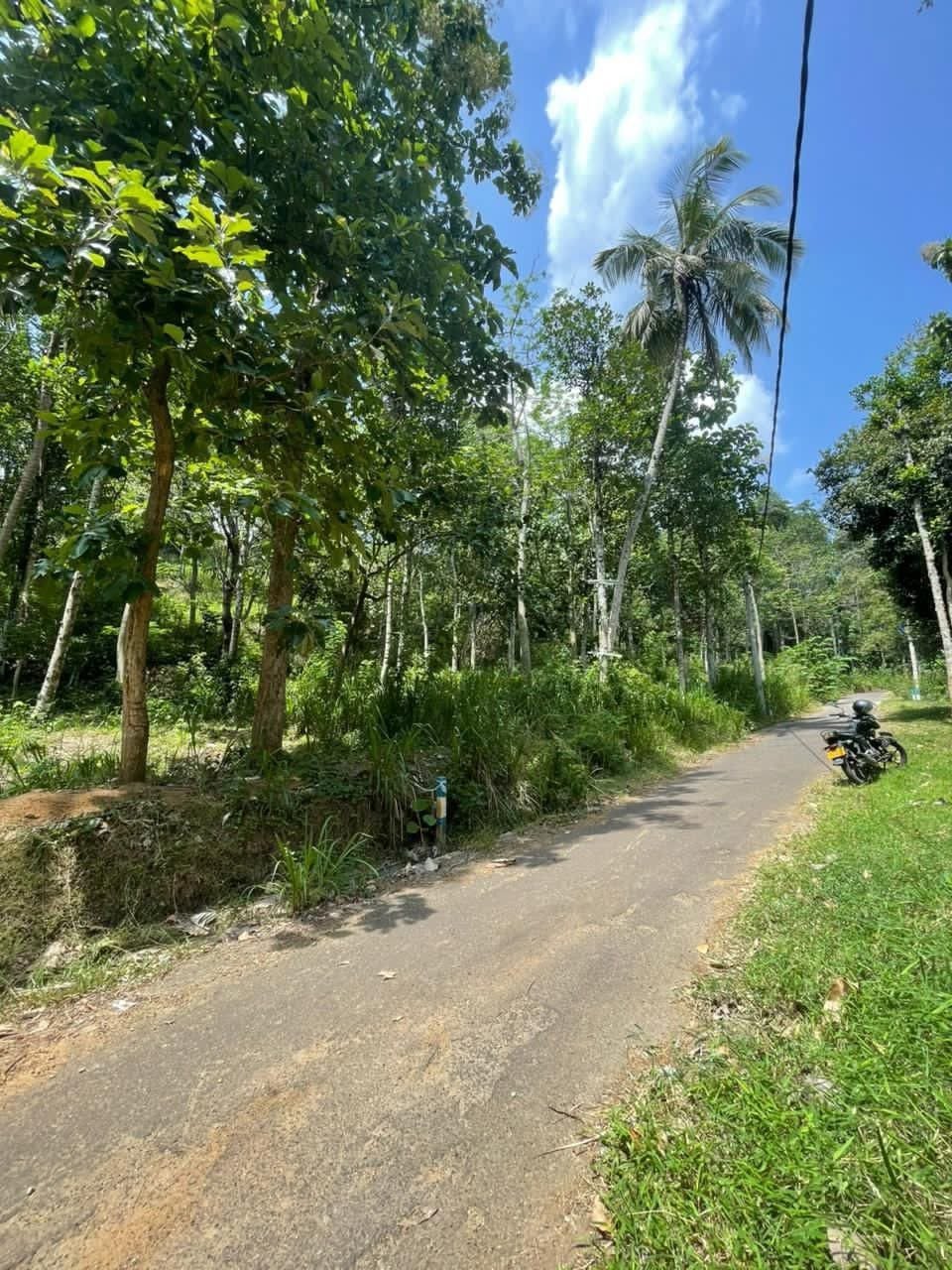 සිංහාරගම Prime land Lions Gate හි ප්‍රචස් 15ක තැනිතලා ඉඩම විකිණීමට