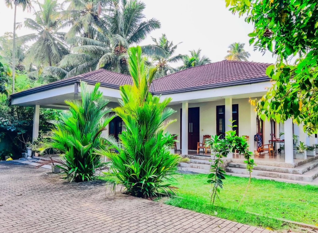 මීගමුව දෙමන්හන්දිය ප්‍රදේශයේ සුඛෝපභෝගී විලා නිවසක් විකිණීමට ඇත - Negambo