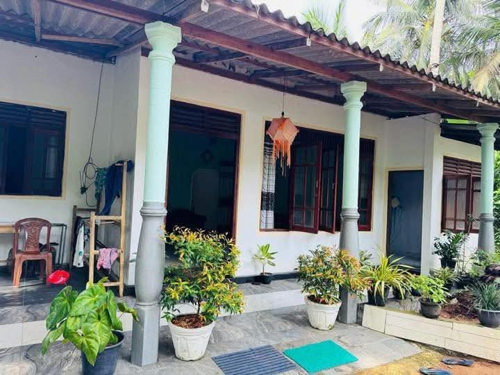 මල්වාන නගරයට පයින් යන දුරින්