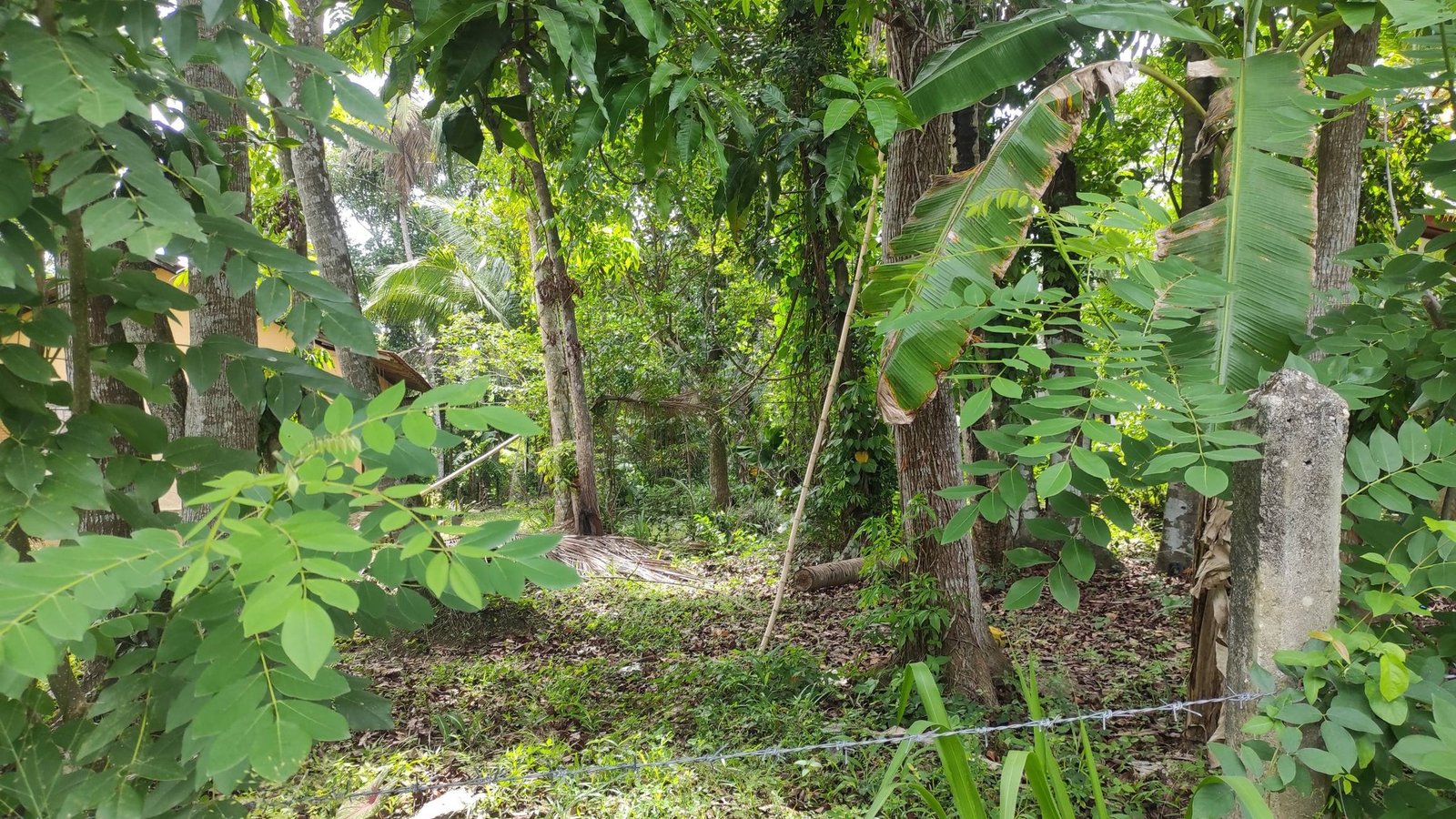 land for sale kalagedihena