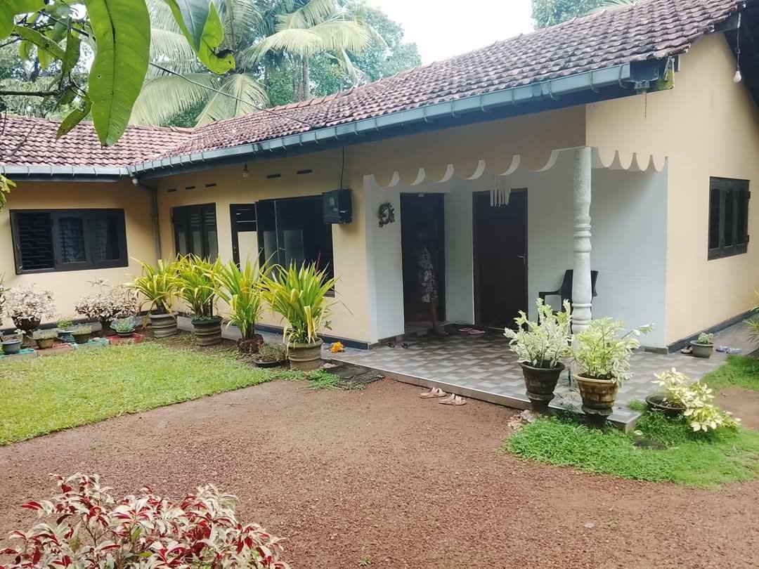 මිනුවන්ගොඩ දිවුලපිටිය පාරෙ නවලෝක හන්දියෙ මෙම නිවස විකිණීමට ඇත.