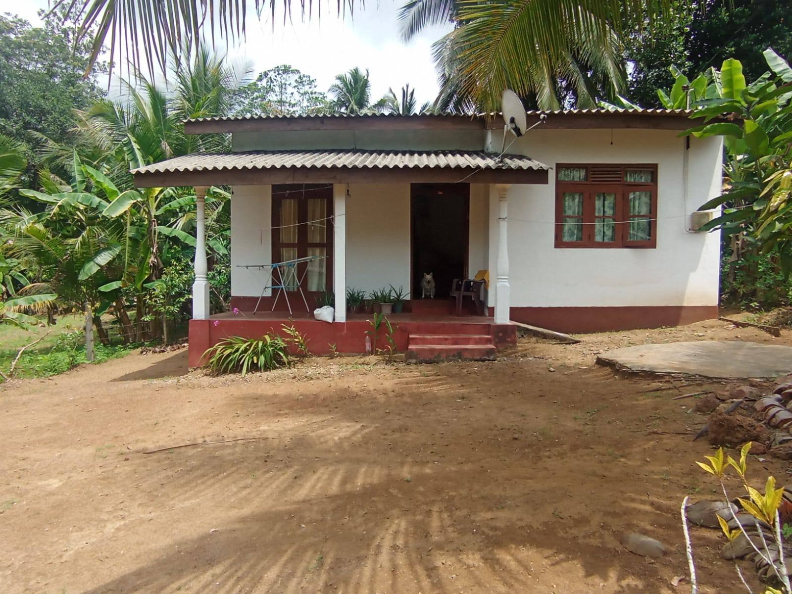 House for sale ( ඉක්මනින් විකිනීමට)