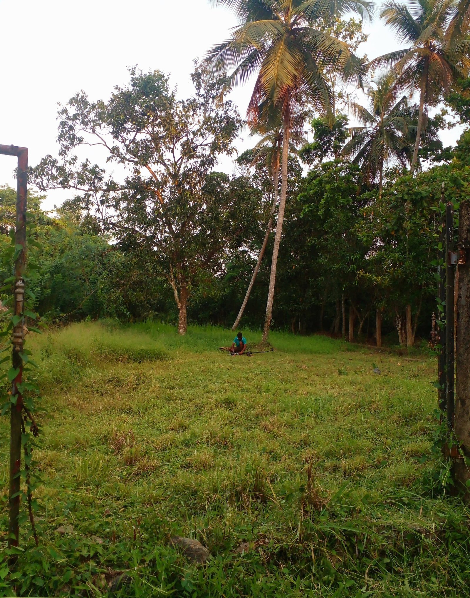 19 percent land in Yakkala Mahavi Junction
