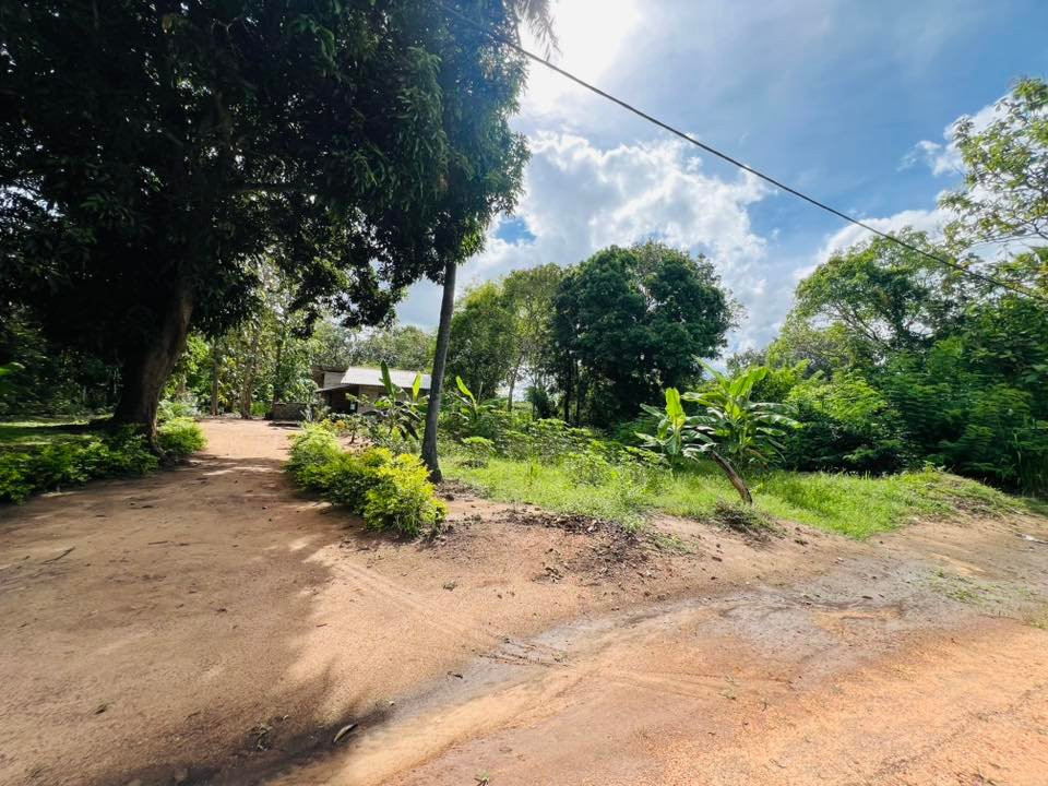 නිවස සමග අක්කර 2 ඉඩමක් - Anuradhapura