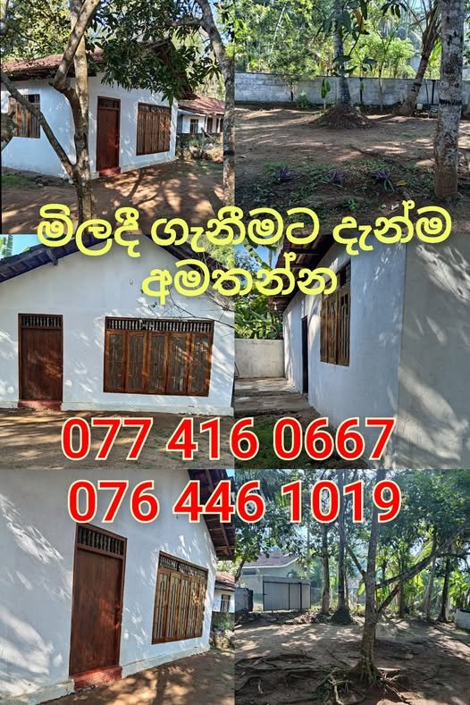 පර්චස් 18 ක වෙන්දේසි ඉඩම සහ නිවස කඩිනමින් විකිණීමට ඇත.