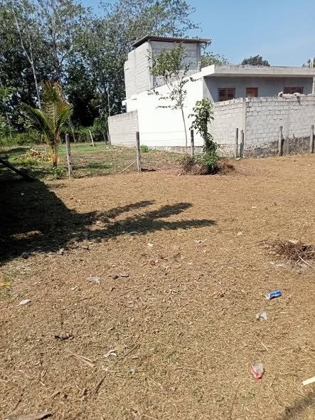 පන්නිපිටියෙන් විකිණීමට ඇති හිස් ඉඩම
