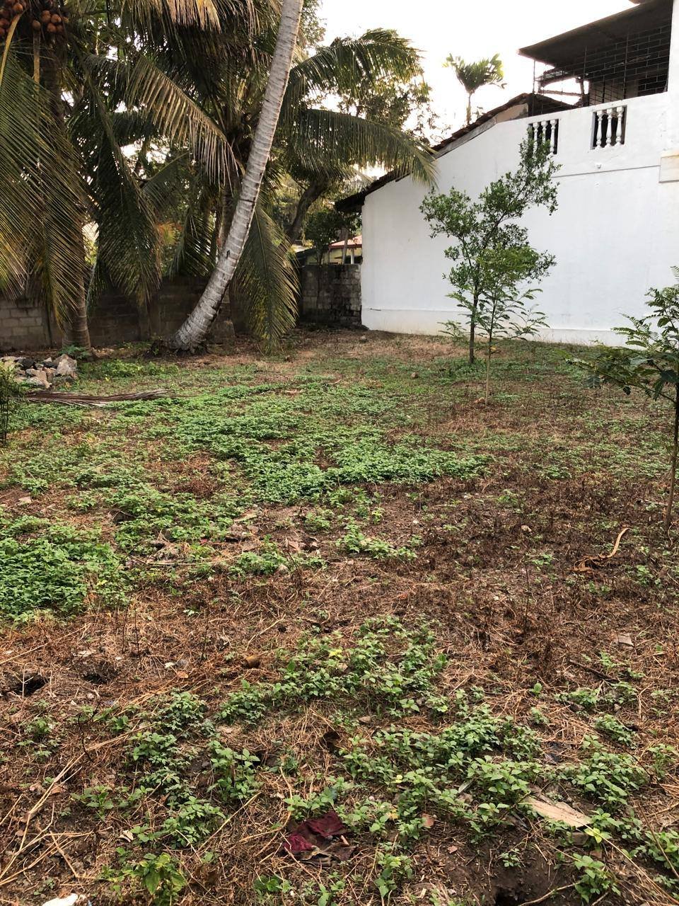 LAND FOR SALE - WIJERAMA
