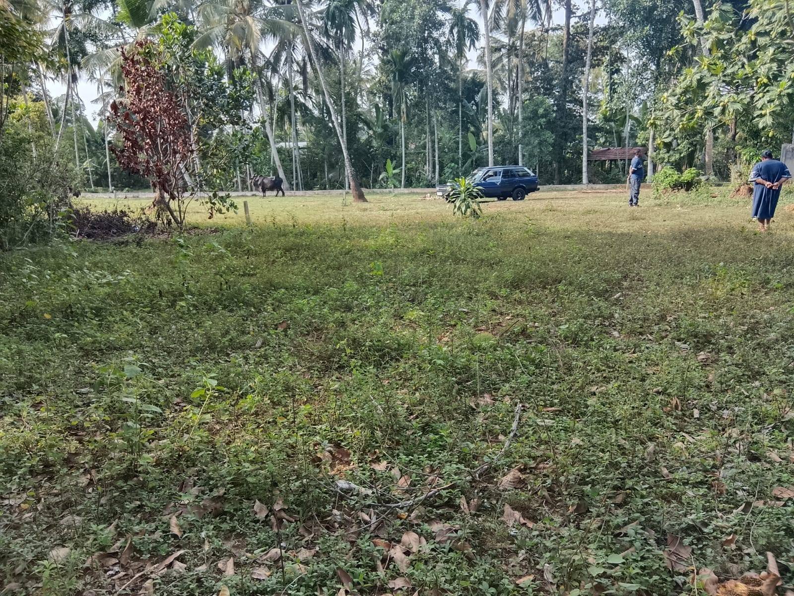වටිනා ඉඩමක් විකිණිමට ඇත කඩවත - kadawatha