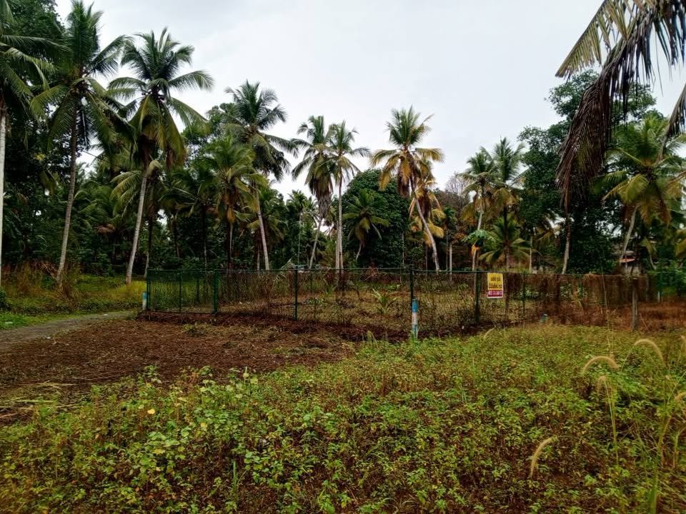 ගම්පහ කිරිදිවැල බස් මාර්ගයට මීටර් 250.