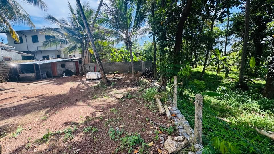 කිරිබත්ගොඩ – පමුණුවිලෙන් වටිනා ඉඩමක් විකිණීමට